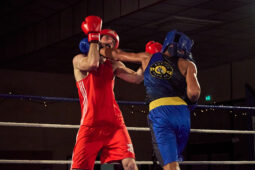Sport, Boxe, Gala 2025