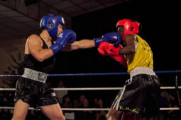 Sport, Boxe, Gala 2025