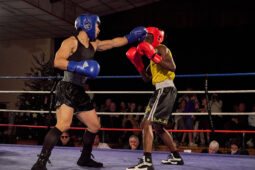 Sport, Boxe, Gala 2025