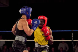 Sport, Boxe, Gala 2025