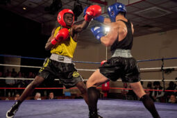 Sport, Boxe, Gala 2025