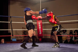 Sport, Boxe, Gala 2025