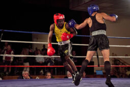 Sport, Boxe, Gala 2025