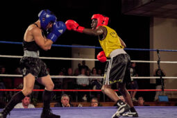 Sport, Boxe, Gala 2025