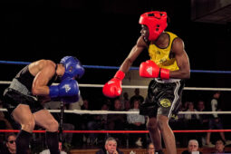Sport, Boxe, Gala 2025
