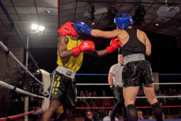 Sport, Boxe, Gala 2025