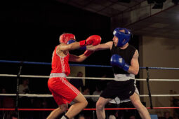 Sport, Boxe, Gala 2025