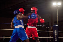 Sport, Boxe, Gala 2025