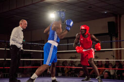 Sport, Boxe, Gala 2025