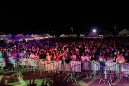 Concert, DJ Wazy, Orientation, Paysage, Public