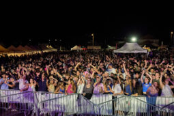 Concert, DJ Wazy, Orientation, Paysage, Public