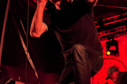 Concert, La Ruda, Orientation, Portrait