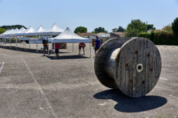 Festival, Orientation, Paysage