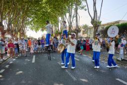 Concert, Fanfare Chik and Chok, Orientation, Paysage, Public, Festival