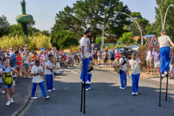 Concert, Fanfare Chik and Chok, Orientation, Paysage, Public, Festival